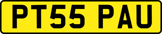 PT55PAU