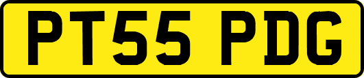 PT55PDG