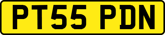 PT55PDN