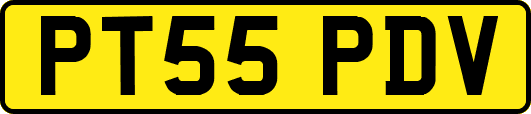 PT55PDV