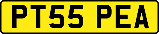 PT55PEA