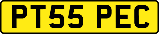 PT55PEC