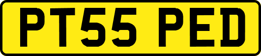 PT55PED