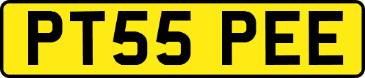 PT55PEE