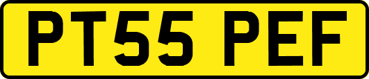 PT55PEF