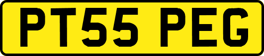 PT55PEG