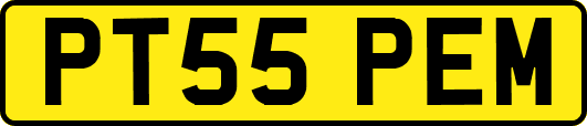 PT55PEM