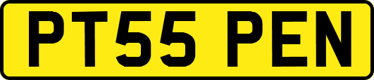PT55PEN