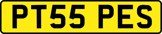 PT55PES