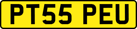 PT55PEU
