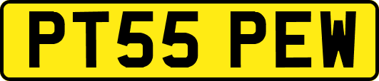 PT55PEW