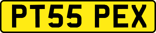 PT55PEX
