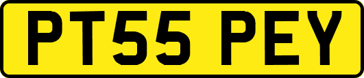 PT55PEY