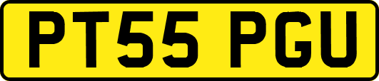 PT55PGU