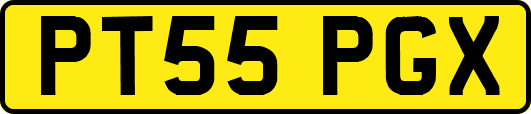 PT55PGX