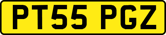 PT55PGZ