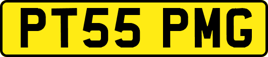 PT55PMG