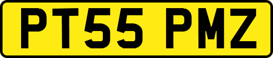 PT55PMZ