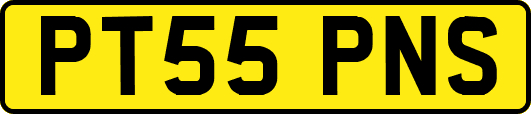 PT55PNS