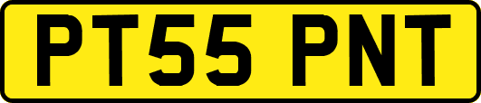 PT55PNT