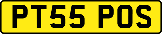 PT55POS
