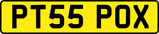 PT55POX