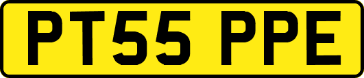 PT55PPE