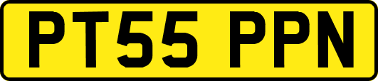 PT55PPN