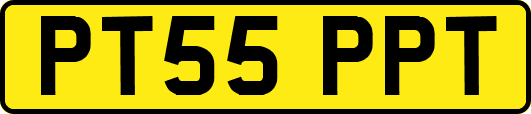 PT55PPT