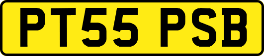 PT55PSB