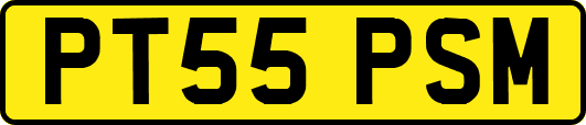 PT55PSM