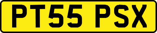 PT55PSX