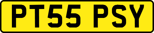 PT55PSY