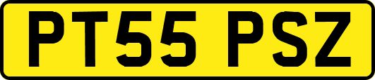 PT55PSZ