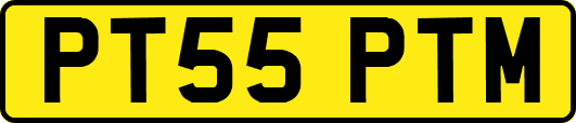 PT55PTM