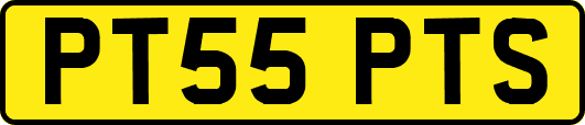 PT55PTS
