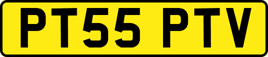 PT55PTV