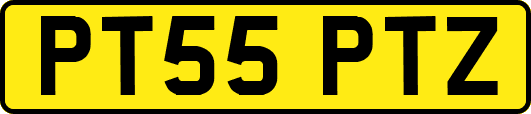 PT55PTZ