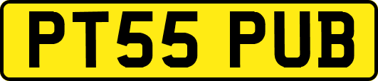 PT55PUB