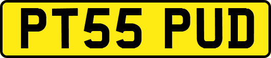 PT55PUD