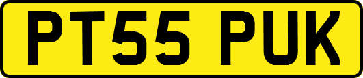 PT55PUK