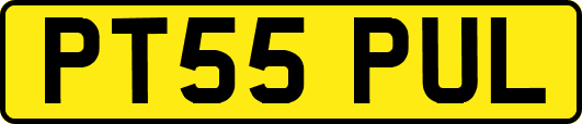 PT55PUL