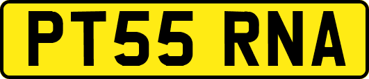 PT55RNA