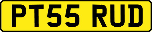 PT55RUD