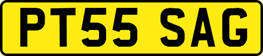 PT55SAG