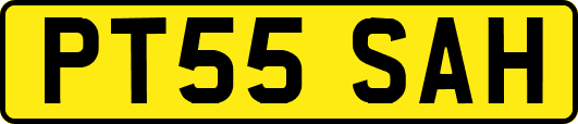 PT55SAH