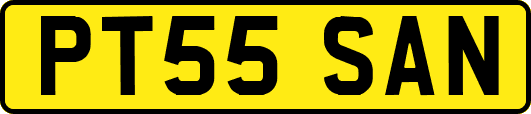 PT55SAN