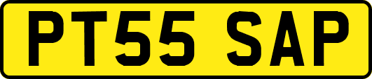 PT55SAP