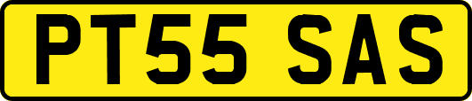 PT55SAS