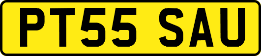 PT55SAU